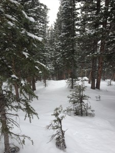 Trees please!
